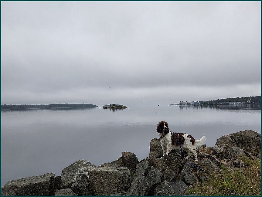 �m�lsviken 17 sept 2024