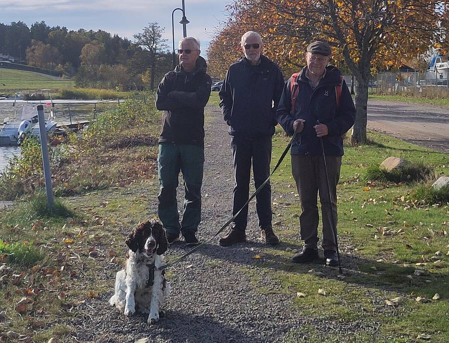 Vid N�sviken