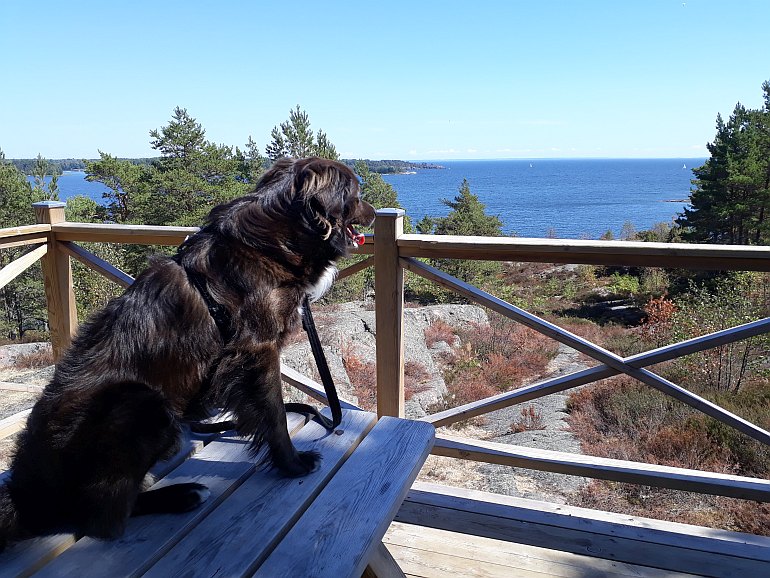 Utsikt �ver Dalbosj�n fr�n Klockarberget 24 juli 2018