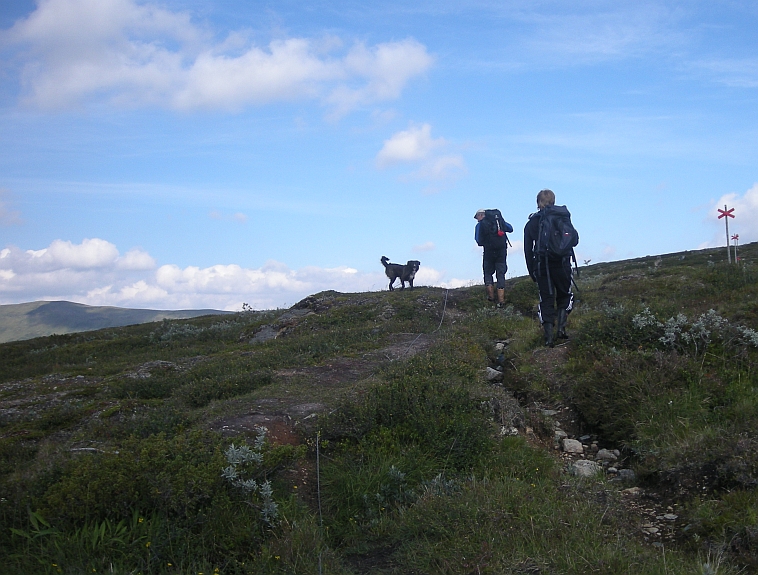 H�rjedalen aug 2010