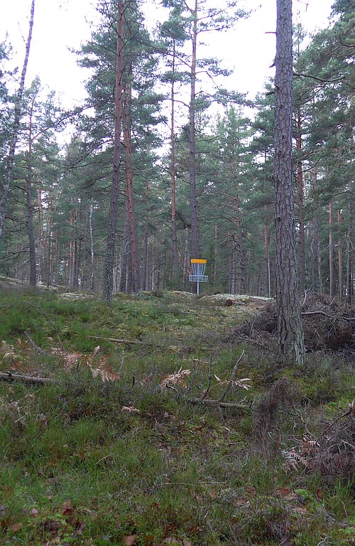 Discgolf-h�l